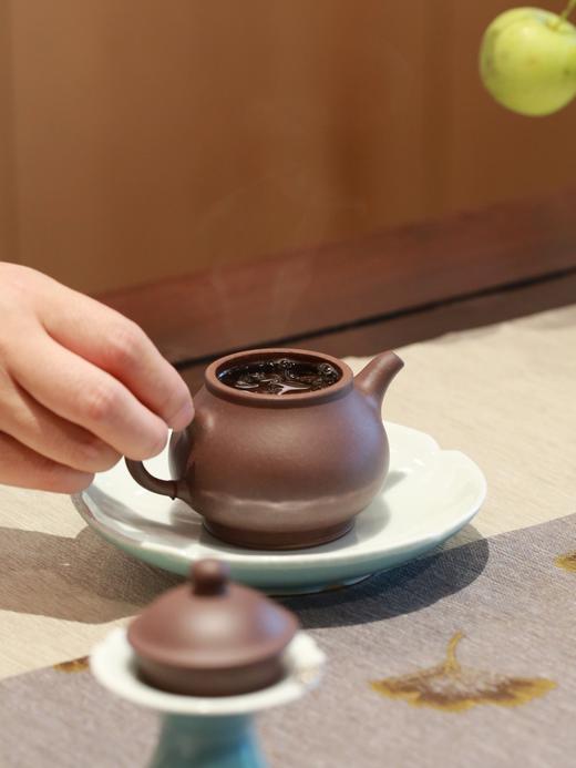 2024天下云茶熟茶  温醇顺滑 为有盈盈药香来 商品图3