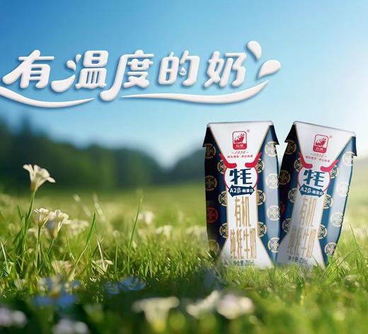 红原牦牛奶（液体奶200ml*10盒）【基地直发】 | 68年品质坚守，国产奶良心，获得欧盟、美国、中国有机认证，营养更加丰富，藏区优质奶源，圆通快递 商品图3