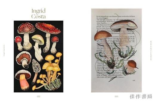 Fungal Inspiration: Art and Illustration Inspired by Wild Nature / 真菌的灵感：野生世界激发的艺术与设计 商品图1