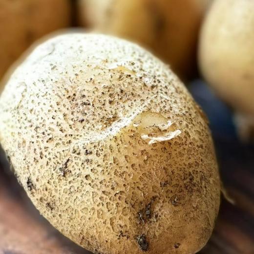 有机土豆/洋葱/胡萝卜，羊粪种植，有机认证，品质安心，顺丰/京东包邮，72小时发货急件慎拍！ 商品图2