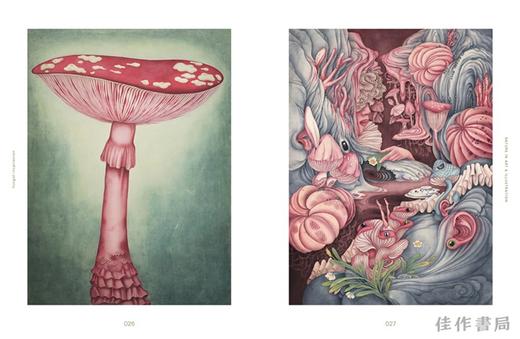 Fungal Inspiration: Art and Illustration Inspired by Wild Nature / 真菌的灵感：野生世界激发的艺术与设计 商品图3