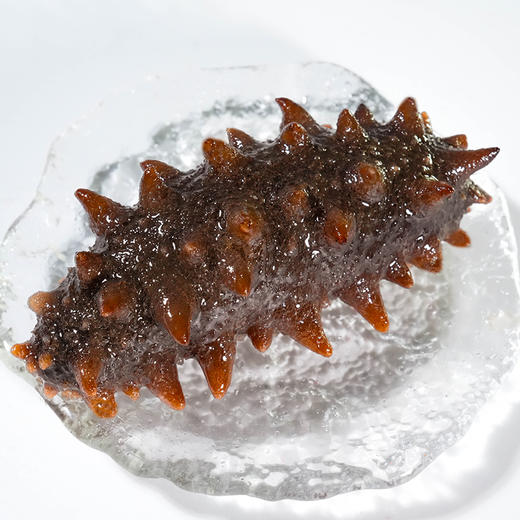 大连冷冻鲜食海参500g 9-12只 （只发南京） 线上 商品图4