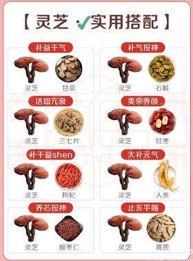 干货：灵芝的实用搭配
