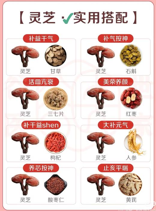 干货：灵芝的实用搭配 商品图0