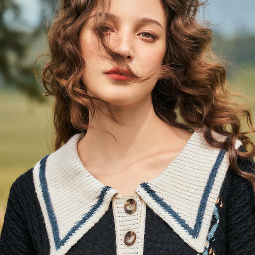 两三事梵高文艺虚无星轨2024秋新款文艺风polo领花色毛衣裙连衣裙 商品图2