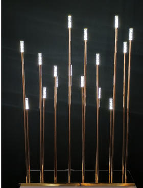 16头奥斯卡路引（运费自理）