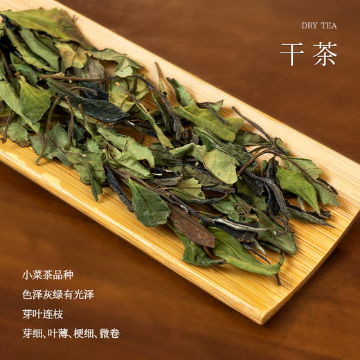 懂茶帝大师茶青云贡眉2021年政和白茶非遗老师陈仕斌花香贡眉80g 商品图1