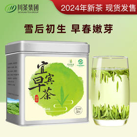 【中秋】茶叶 绿茶 2024新茶 早春嫩芽 宜宾早茶 天府龙芽 川茶集团 茶饮 50g