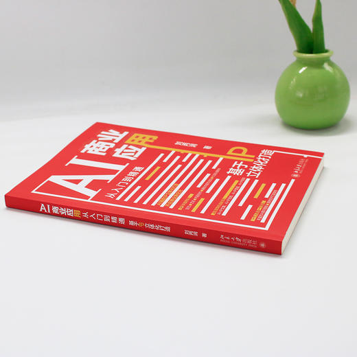 AI商业应用从入门到精通：基于IP立体化打造 刘丙润 著 北京大学出版社 商品图3