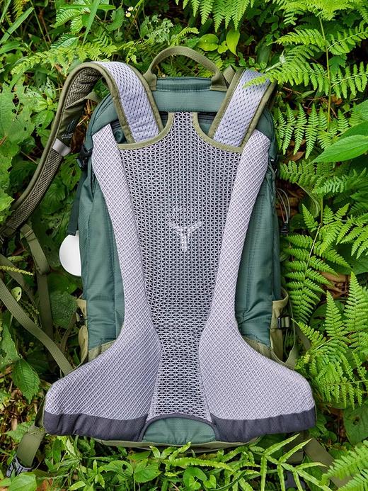 德国多特Deuter进口福特拉Futura双肩包户外登山包专业徒步背包男 商品图3