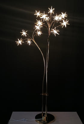 15头海胆路引（运费自理）