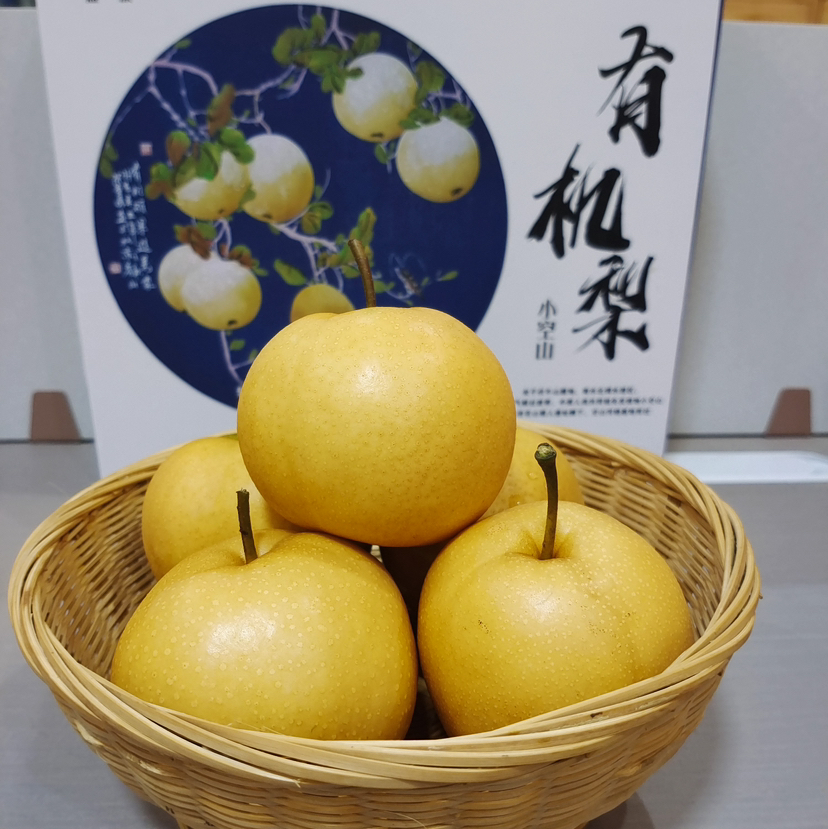 基地直发-小空山有机圆黄梨 脆甜 多汁 新鲜采摘 京东快递～下单所有规格均赠送100g秋梨膏