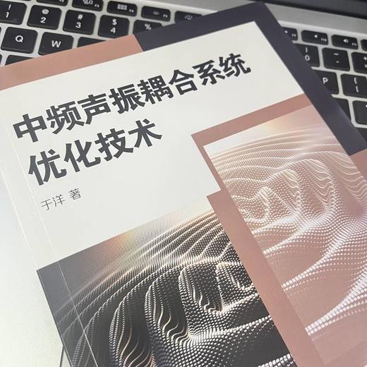 中频声振耦合系统优化技术 商品图4