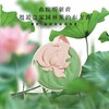 【七夕礼物】赋刻圆明园联名限定款无火香薰礼盒香氛桂花绿茶精油车载家居室内送礼 商品缩略图7