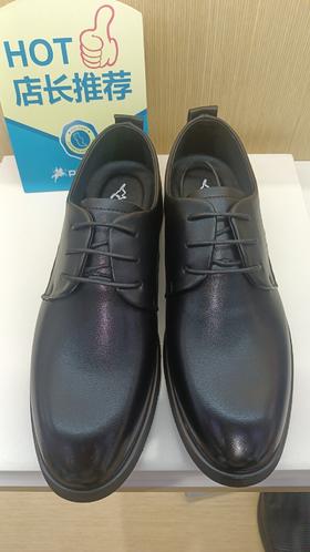 森林袋鼠80620309   03912904