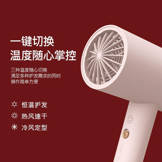 Apiyoo负离子吹风机粉色PF7 商品图1