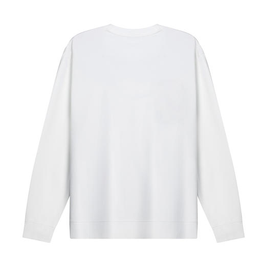 【断码清仓】HX 秋季圆领卫衣S106433024101/02 商品图7