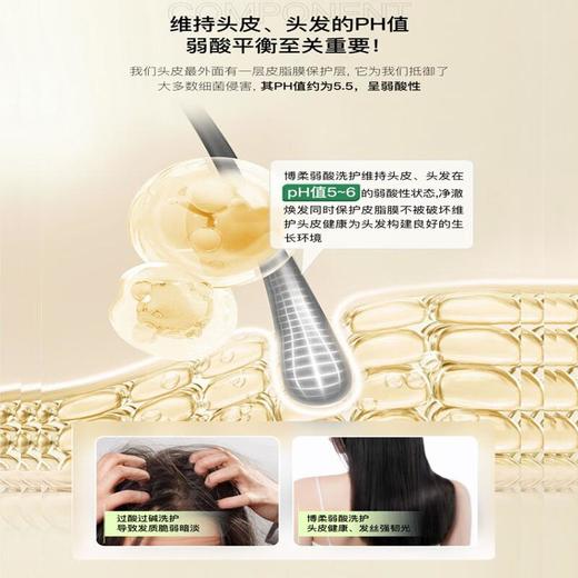 【专柜】博柔香氛洗发水露香味持久留香修护毛躁干枯女柔顺顺滑强韧防断发 318ml/瓶 商品图4