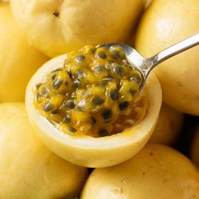 钦蜜9号黄金百香果|纯甜少酸的香气小炸弹，不加蜂蜜直接吃！