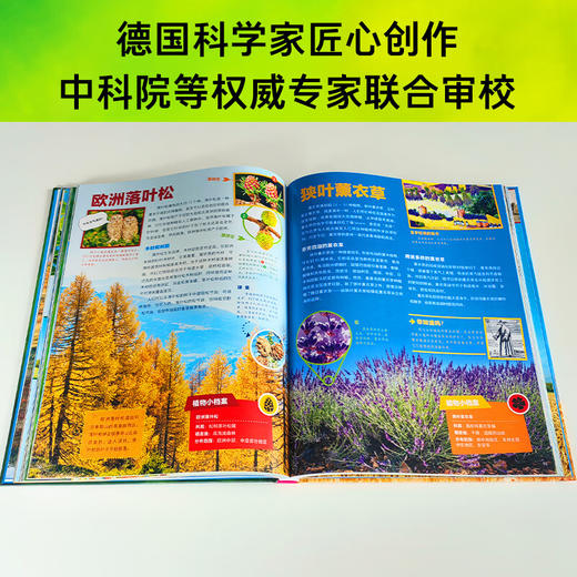 德国少年儿童动物/植物大百科：2册多规格（7岁+） 商品图6