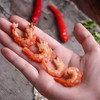 港岛姑娘 剑虾虾仁干自然无盐晒干海虾干货手工晒制原汁原味0.5斤/包 商品缩略图2