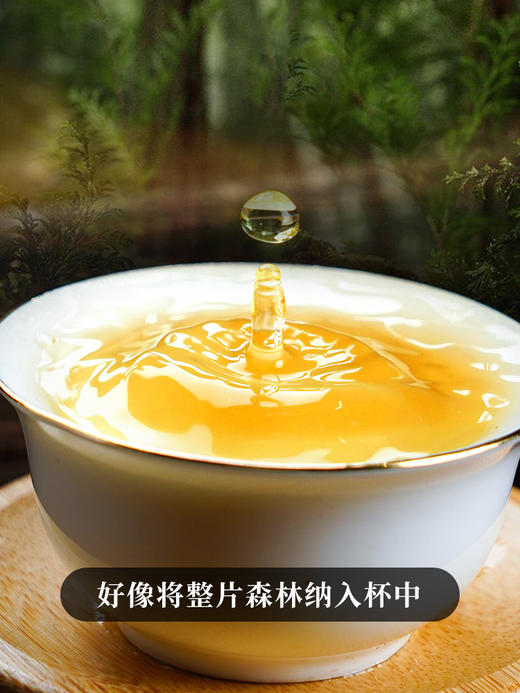 【不足10饼】【冰岛特大树】2023年头春冰岛茶区6棵特大古树，采用獨家无极拼配技艺357g/饼 商品图7