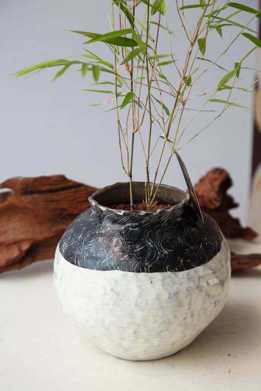 内门竹 商品图1