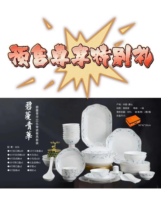 睿源堂50头骨瓷餐具套装 商品图0