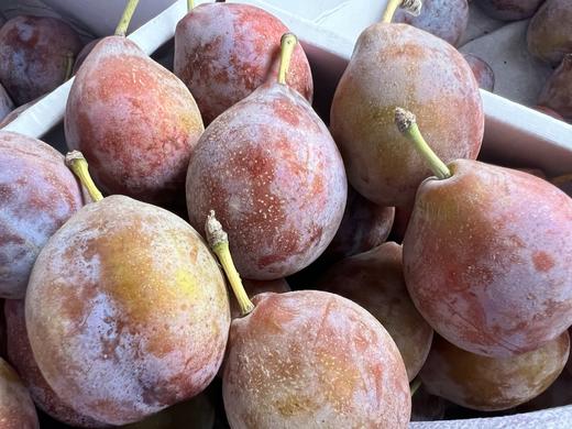 周二取货：【新疆西梅】一份1斤左右，中国超好吃的西梅，放软些贼甜！ 商品图1