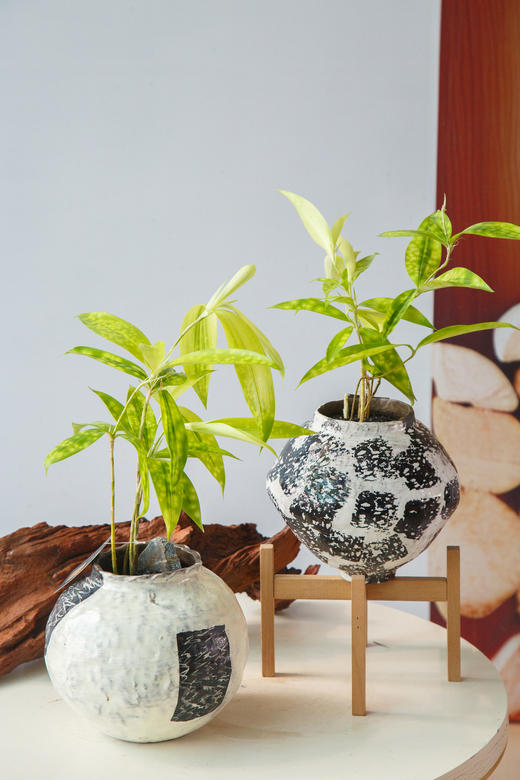 油点木 商品图0