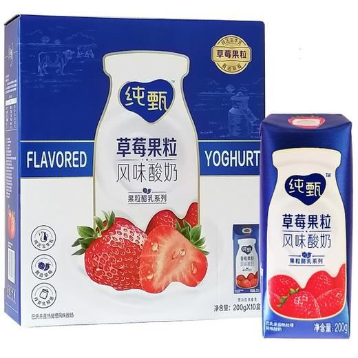 200g*10纯甄草莓果粒风味酸牛奶 商品图0