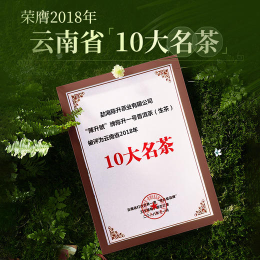 陈升号 2024年陈升一号357g（生茶） 商品图3