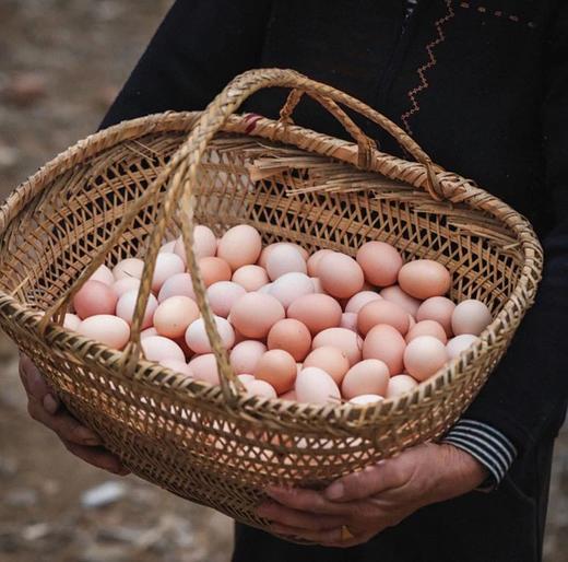 九华山土鸡蛋  营养又好吃 商品图0