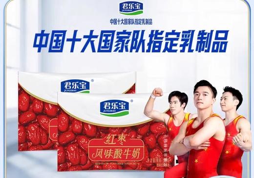 君乐宝红枣酸奶 商品图0