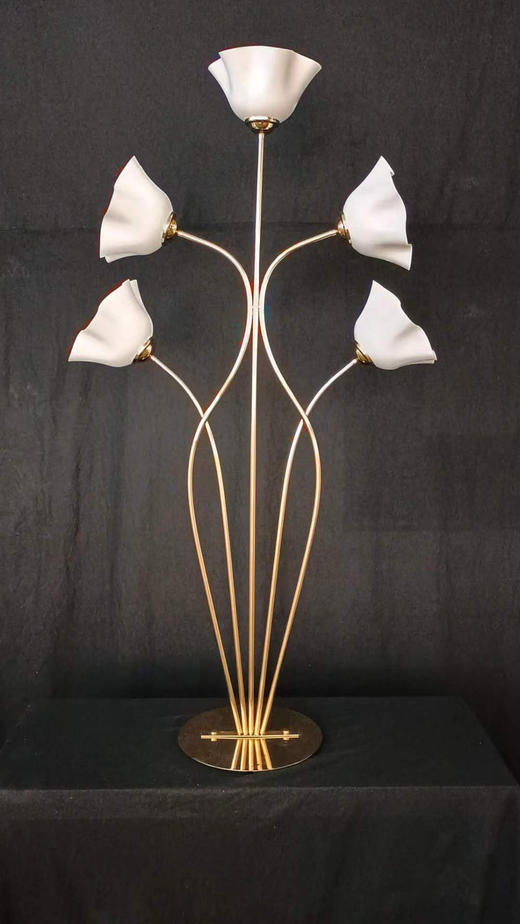 5头白玉兰路引（运费自理） 商品图0