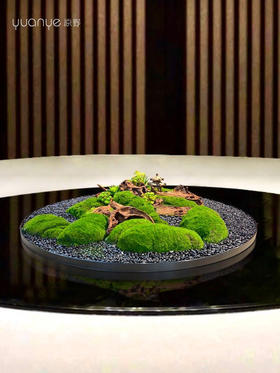 酒店大圆桌餐桌花转盘摆花永生苔藓绿植仿真花假花餐厅装饰摆设件