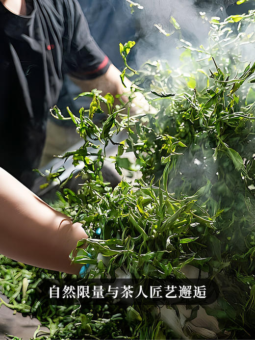 【不足10饼】【冰岛特大树】2023年头春冰岛茶区6棵特大古树，采用獨家无极拼配技艺357g/饼 商品图1