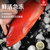 港岛姑娘 深海东星斑深海鱼红石斑味美鲜甜肉质弹嫩活冻 商品缩略图2