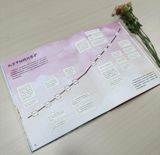 穿越北京中轴线 商品图7