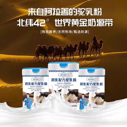奋斗骆驼初乳配方驼奶粉300g（购满358元参与：1元报名送358元乳铁蛋白） 商品图1
