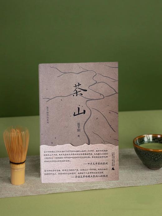 茶山  雷平阳/著 商品图0