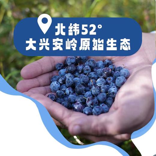 围山味有机蓝莓原浆7袋/盒 （2盒起拍） 商品图2