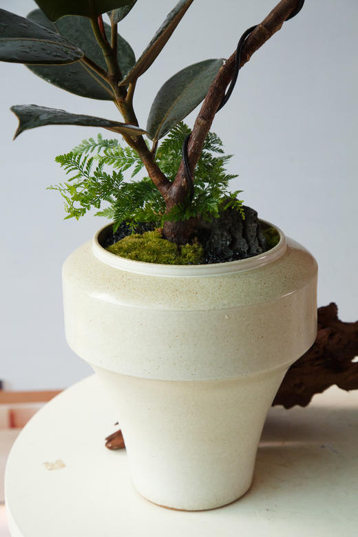 造型黑金刚 商品图1