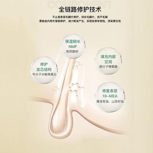 【专柜】博柔香氛洗发水露香味持久留香修护毛躁干枯女柔顺顺滑强韧防断发 318ml/瓶 商品图2