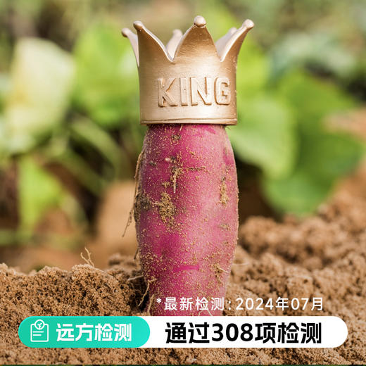 桥头沙土富硒地瓜5斤装/8斤装 商品图0