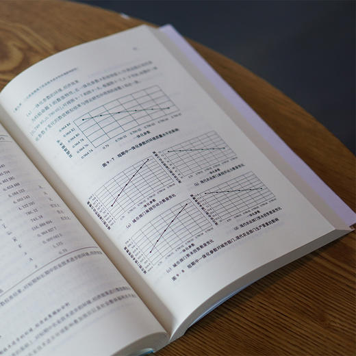 劳动力转移中的收入差距与环境 商品图4