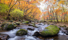 户外@【梦幻东北】赏秋龙湾群/老边沟/关门山/红海滩，长白山，穿越中华枫叶大道6天