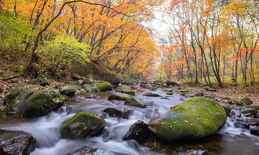 户外@【梦幻东北】赏秋龙湾群/老边沟/关门山/红海滩，长白山，穿越中华枫叶大道6天 商品图0