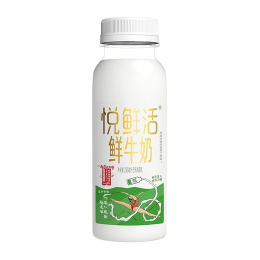 君乐宝260ml A2悦鲜活鲜牛奶（包装随机） 商品图11