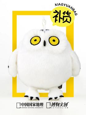 注意啦！插播一条新闻！📢